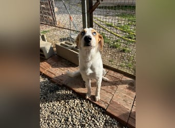 Zoe - Mit Schutzengeln gesegnet