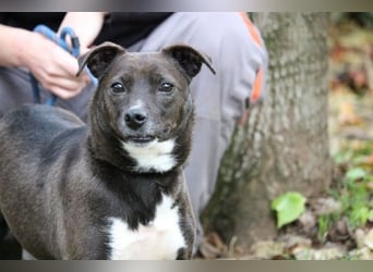 Cyrus - Vertrauen kann man lernen