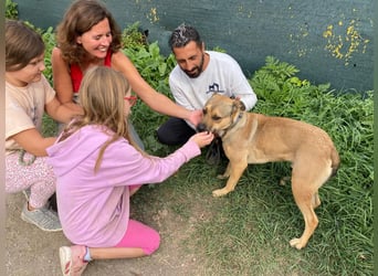 Faudor - Bist du die letzte Station meiner Odyssee?