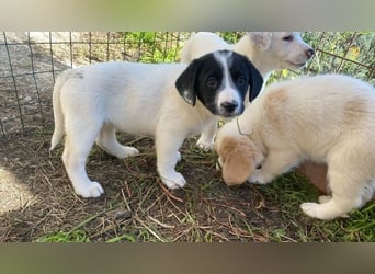 Irina - Neunmal werden wir noch wach...