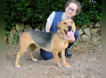 Linnea - Hauptsache ihr großes Herz passt in`s Körbchen