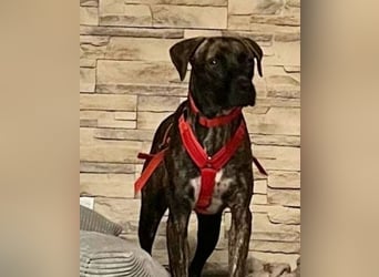 Branson - taut langsam auf und sucht Menschen mit Zeit