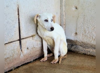 Radford - Ein Anfang, der nie kam