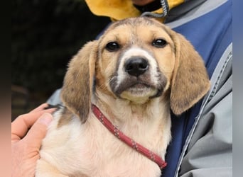 Wasker - Als Mama noch bei uns war