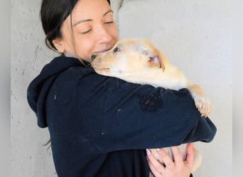 Sniffy - ...und Sirette halten zusammen