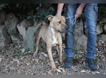 Moises - Wie kannst Du sein?