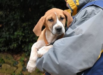 Waylo - Als Mama noch bei uns war