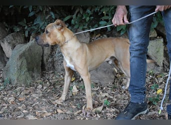 Moises - Wie kannst Du sein?