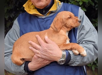 Wixelle - Als Mama noch bei uns war