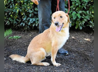 Burke - Der sanfte Bruder mit dem warmen Blick