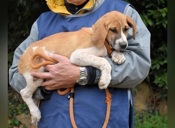 Waylo - Als Mama noch bei uns war