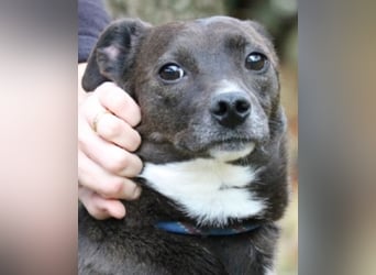 Cyrus - Vertrauen kann man lernen