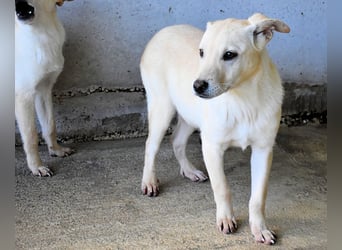 Elaro - gesucht: ein Post-it mit "Sicherheit"