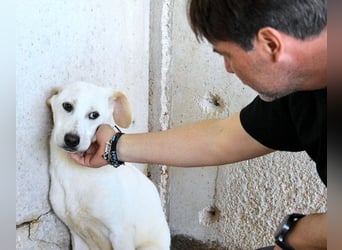 Radford - Ein Anfang, der nie kam