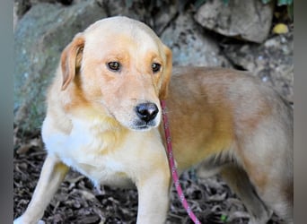 Burke - Der sanfte Bruder mit dem warmen Blick