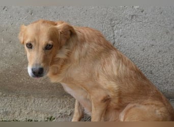 Ferelith - Was wäre, wenn....