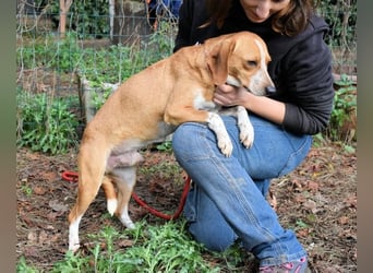 Cecilius - ein ruhiger Begleiter