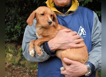 Wixelle - Als Mama noch bei uns war