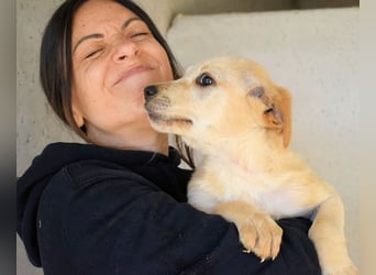 Sirette - ...und Sniffy halten zusammen