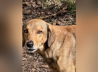 Kiro - Einmal alles auf (Neu)Anfang bitte!