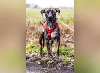 Branson - taut langsam auf und sucht Menschen mit Zeit