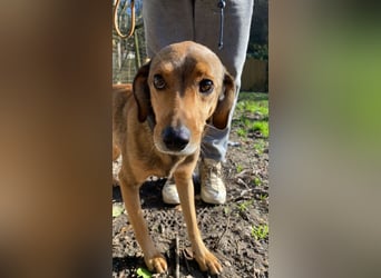 Kiro - Einmal alles auf (Neu)Anfang bitte!