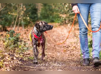 Branson - taut langsam auf und sucht Menschen mit Zeit