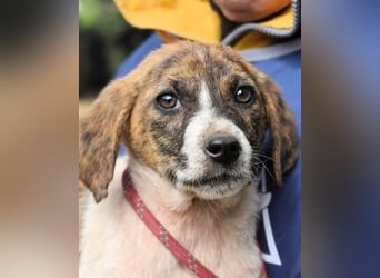 Woola - Als Mama noch bei uns war