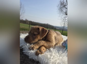 Lumi - Also ehrlich, wir sind doch noch Babys!