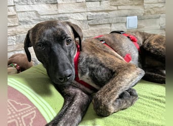 Branson - taut langsam auf und sucht Menschen mit Zeit