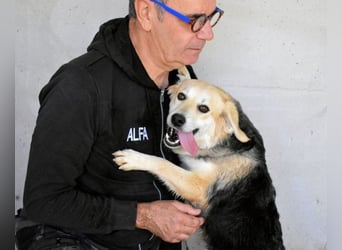 Fioralba - Fantastisches Powerpaket mit Freundlichkeitsbonus