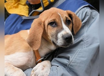 Waylo - Als Mama noch bei uns war