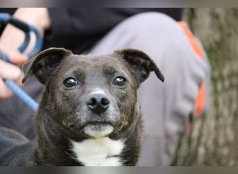 Cyrus - Vertrauen kann man lernen