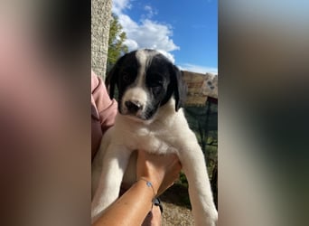 Irina - Neunmal werden wir noch wach...