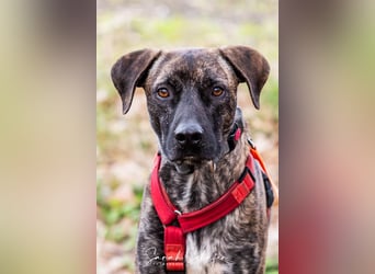 Branson - taut langsam auf und sucht Menschen mit Zeit