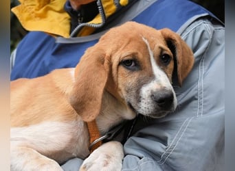 Waylo - Als Mama noch bei uns war