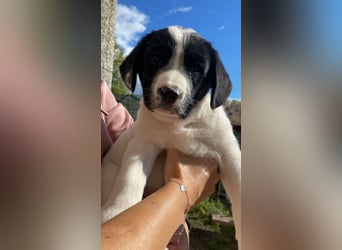 Irina - Neunmal werden wir noch wach...