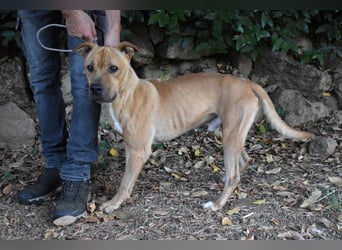 Moises - Wie kannst Du sein?