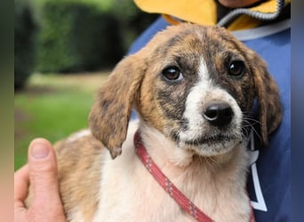 Woola - Als Mama noch bei uns war