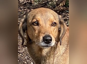 Kiro - Einmal alles auf (Neu)Anfang bitte!