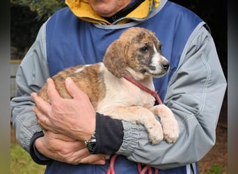 Woola - Als Mama noch bei uns war