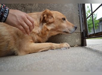 Ferelith - Was wäre, wenn....