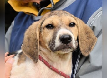 Wasker - Als Mama noch bei uns war