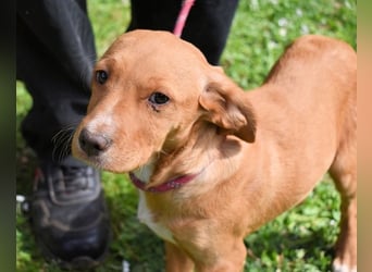 Wixelle - Als Mama noch bei uns war