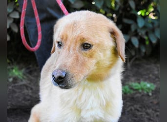 Burke - Der sanfte Bruder mit dem warmen Blick