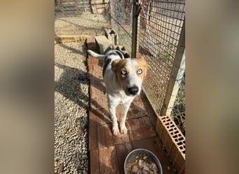 Zoe - Mit Schutzengeln gesegnet