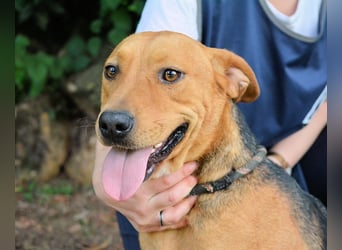 Linnea - Hauptsache ihr großes Herz passt in`s Körbchen