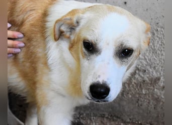 Simbad - Ein verlässlicher Partner...