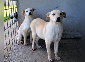 Elaro - gesucht: ein Post-it mit "Sicherheit"