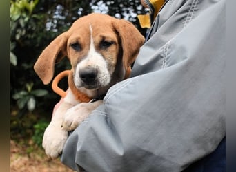 Waylo - Als Mama noch bei uns war